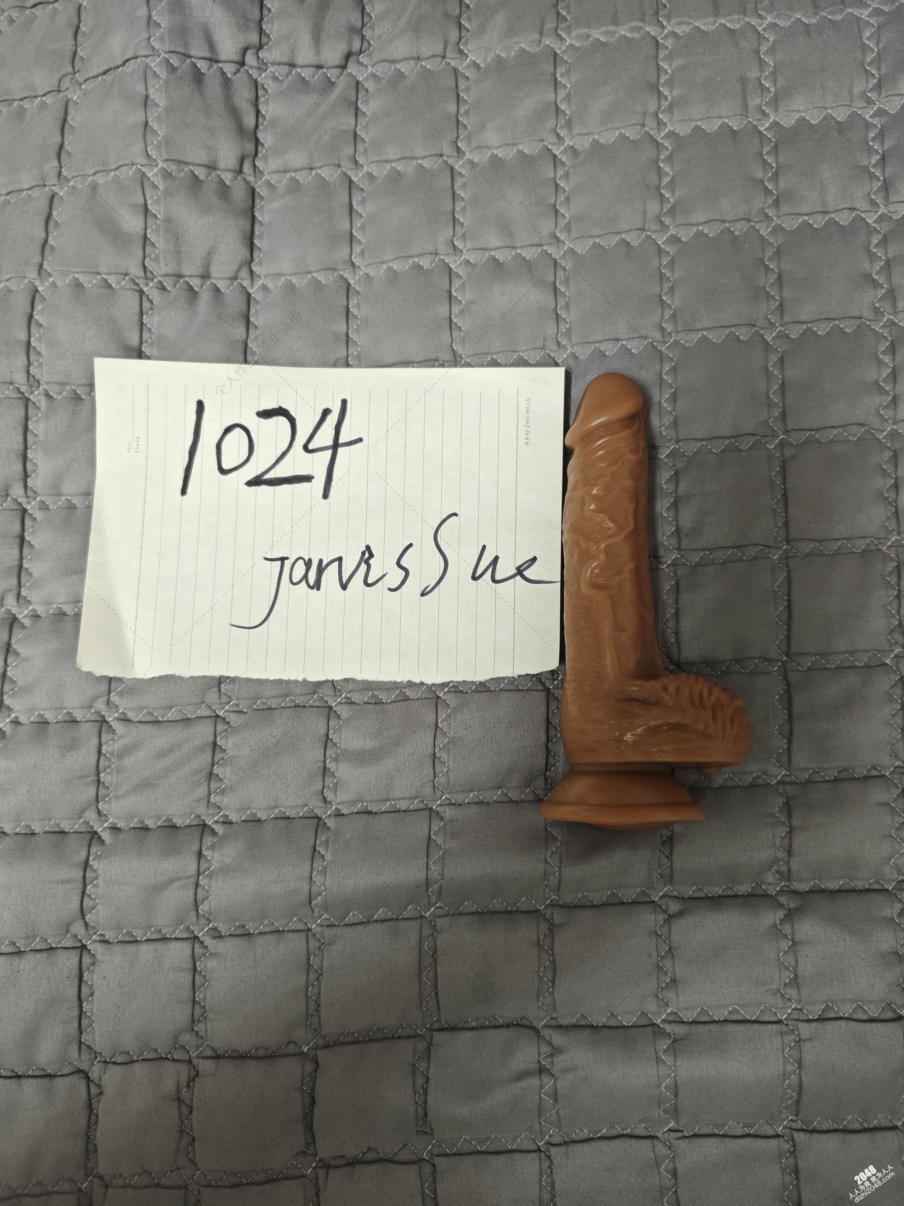 [原创]老婆情绪高涨，身穿学生装，真假阳具齐上阵伺候，物品认证[23P]